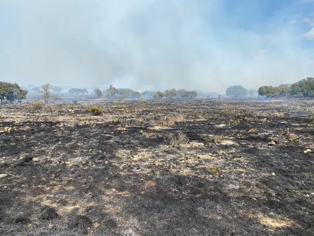 Controlled burn