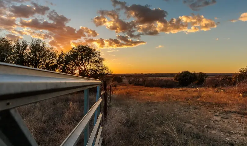 Texas ranch gate