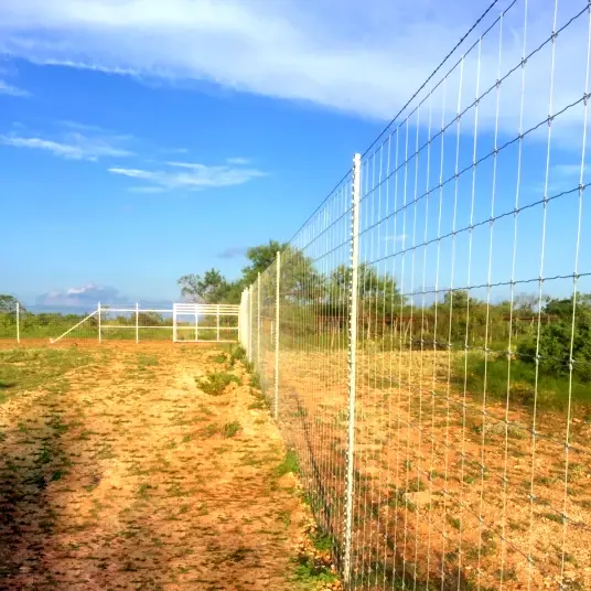 Ranch Fencing Project