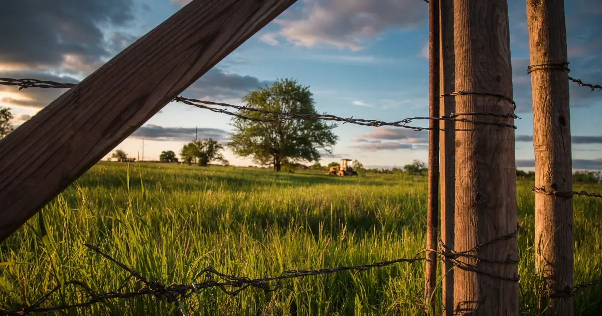 Budgeting cattle fencing costs og