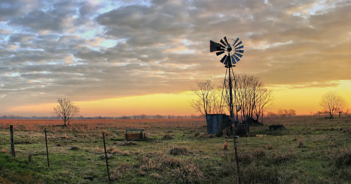 Texas ranch land management issues solutions og